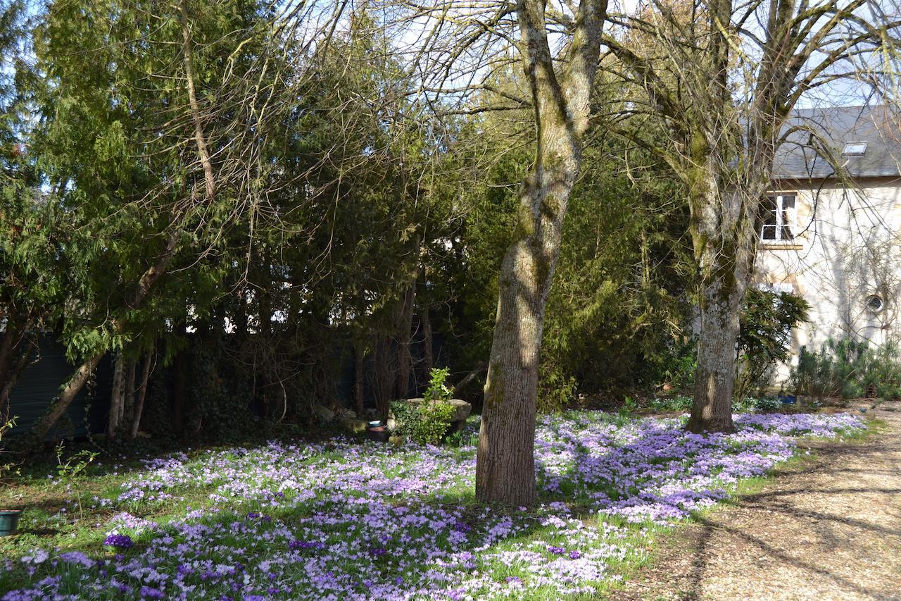 Domaine De Benveau Brecy  ภายนอก รูปภาพ