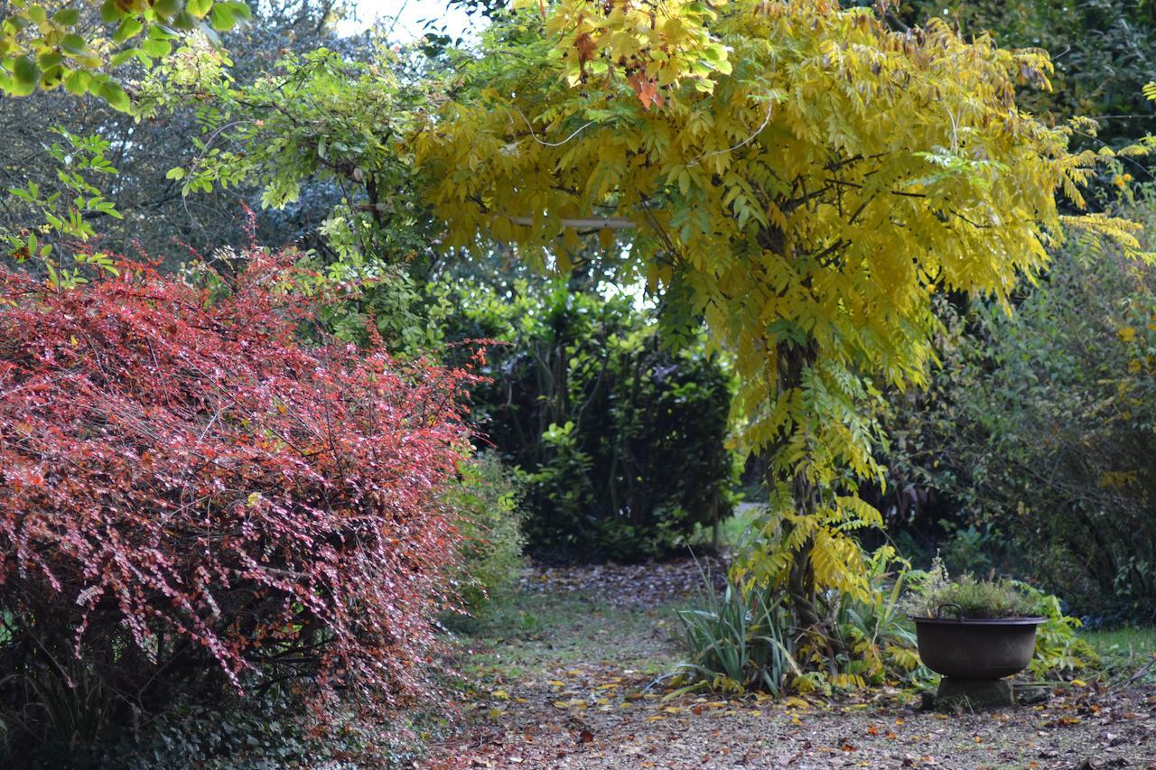 Domaine De Benveau Brecy  ภายนอก รูปภาพ